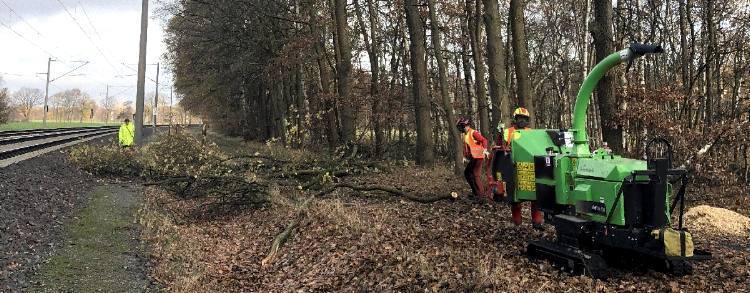 Vegetationsrückschnitt an Bahnstrecken