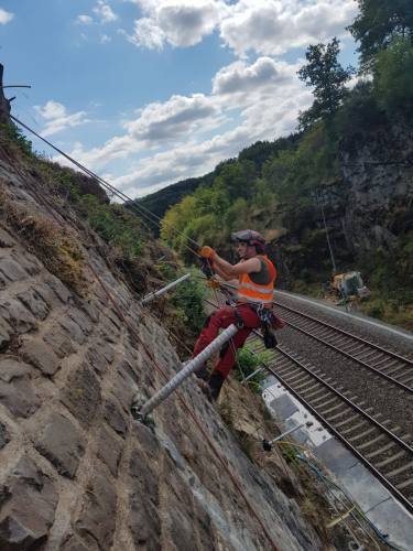 Baumpflegerarbeiten in Hanglagen