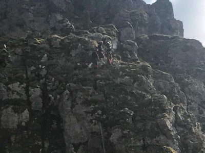 Baumbewuchs an Felswänden 